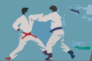 combate libre de jiujitsu combate libre de jiujitsu