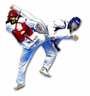 puntos válidos taekwondo