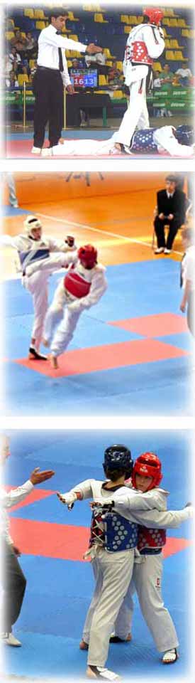 penalizaciones, taekwondo