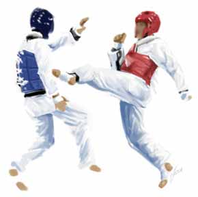 puntos válidos, taekwondo puntos válidos, taekwondo