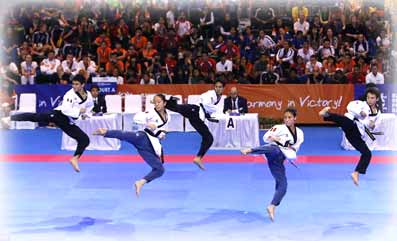 freestyle equipos freestyle equipos