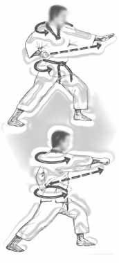 rotación de cadera, taekwondo